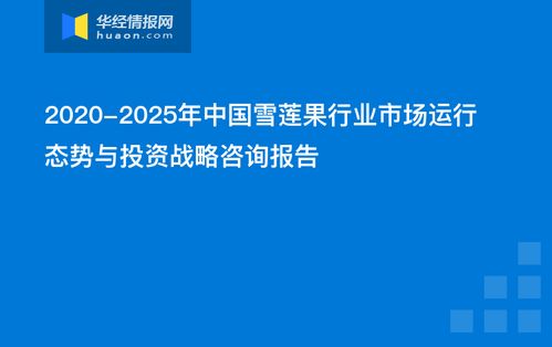 中國(guó)雪蓮果行業(yè)市場(chǎng)運(yùn)行態(tài)勢(shì)與投資戰(zhàn)略咨詢報(bào)告